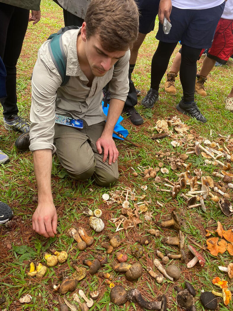 Sorting through a dizzying diversity after a mushroom foray Sagada, Philippines