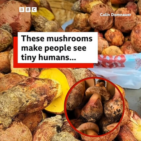 BBC World Service